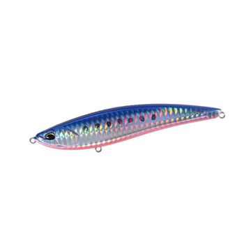 AHA0087 Mazume Sardine