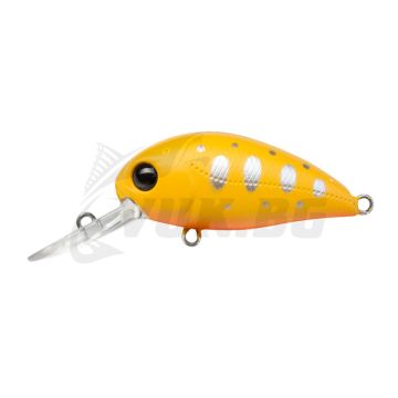 Hypnose 38F-MDR - R43 Mustard Yamame