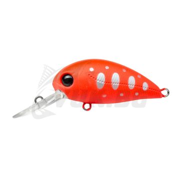 Hypnose 38F-MDR - R45 Fluored