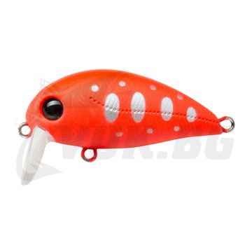 Hypnose 38F-SSR - R45 Fluored