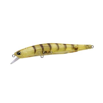 Realis Minnow 80SP - CCC0312 Gold Shrimp