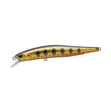 Realis Minnow 80SP - MCC4084 Gold Yamame