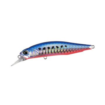 Realis Rozante 77SP SW Limited - AHA0087 Mazume Sardine
