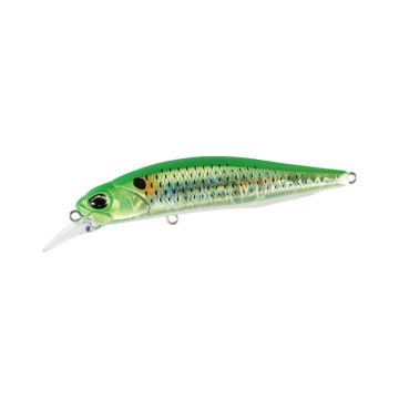 Realis Rozante 77SP SW Limited - CPA3512 Inakko Lime Chart