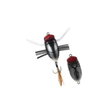 Realis Shinmushi - CCC3406 Clown Bug