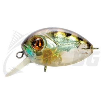Red Rag 36F-SR - 807 MI Perch