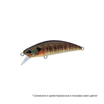 Spearhead Ryuki 60S - CCC3357 True Gill