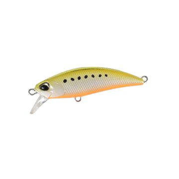 Tetra Works Toto 48HS - AST0333 Golden Sardine