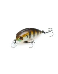 Pontoon21 Hypnose 38F-SR