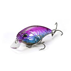 DUO Realis Apex Crank 66 Squared